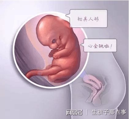 关于拉拉试管三代代孕机构